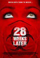  28   (28 Weeks Later...)
